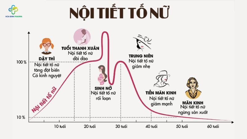 Sức khỏe phụ nữ rất dễ bị ảnh hưởng bởi các yếu tố sinh lý và môi trường sống