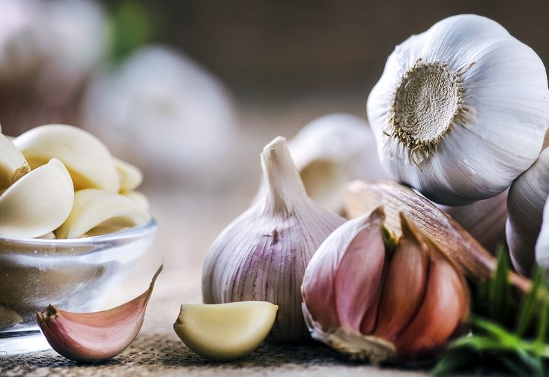 Nghiên cứu & thử nghiệm mới liên quan đến thảo dược & da liễu - Tác dụng của tỏi trong da liễu