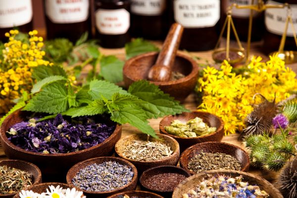 Thảo Dược Nào Tốt Cho Da Dầu, Da Mụn? Gợi Ý Từ Chuyên Gia