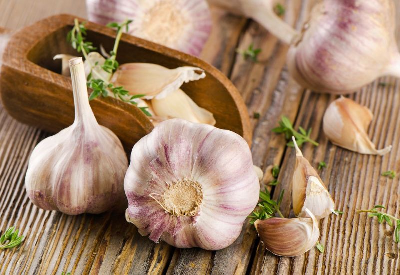 Ứng dụng của tỏi trong da liễu